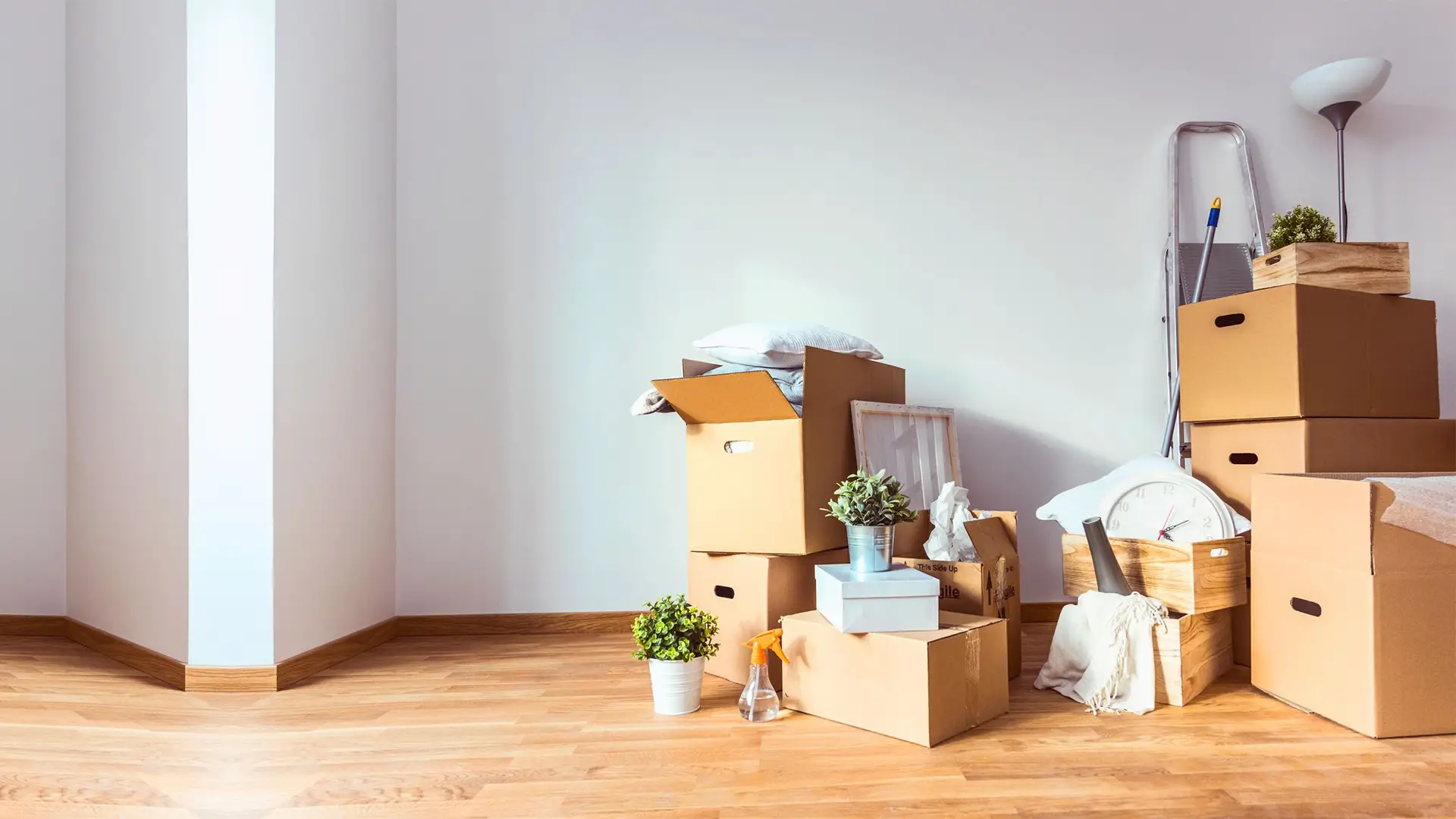 Evinizi Değil, Sadece Eşyalarınızı Taşıyoruz