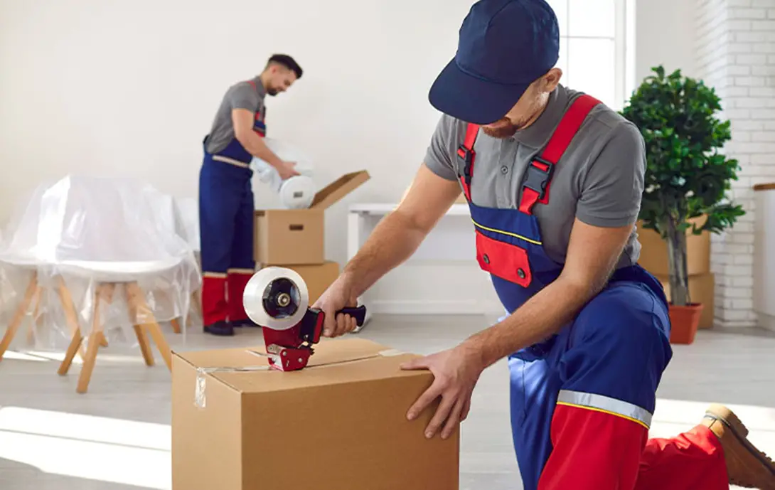 Profesyonel Paketleme Hizmeti