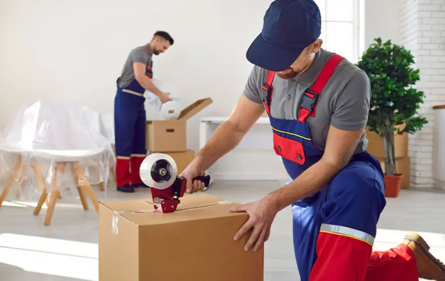 Profesyonel Paketleme Hizmeti